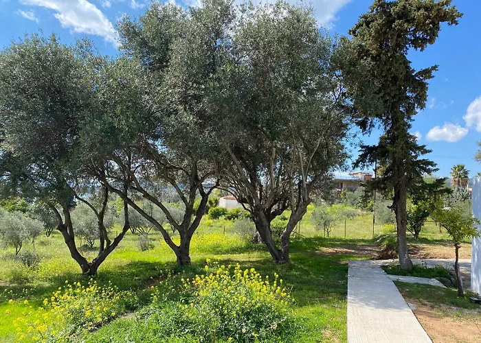 Alida Holiday home Magoula (Evia)