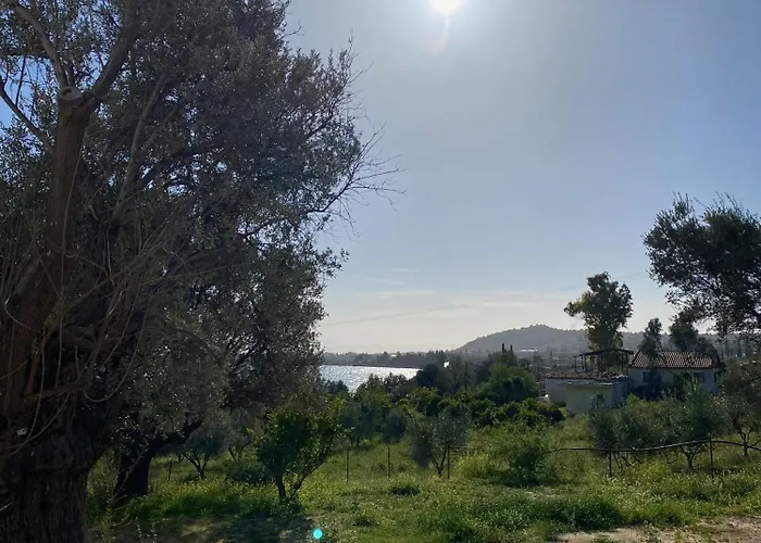 Alida Holiday home Magoula (Evia)